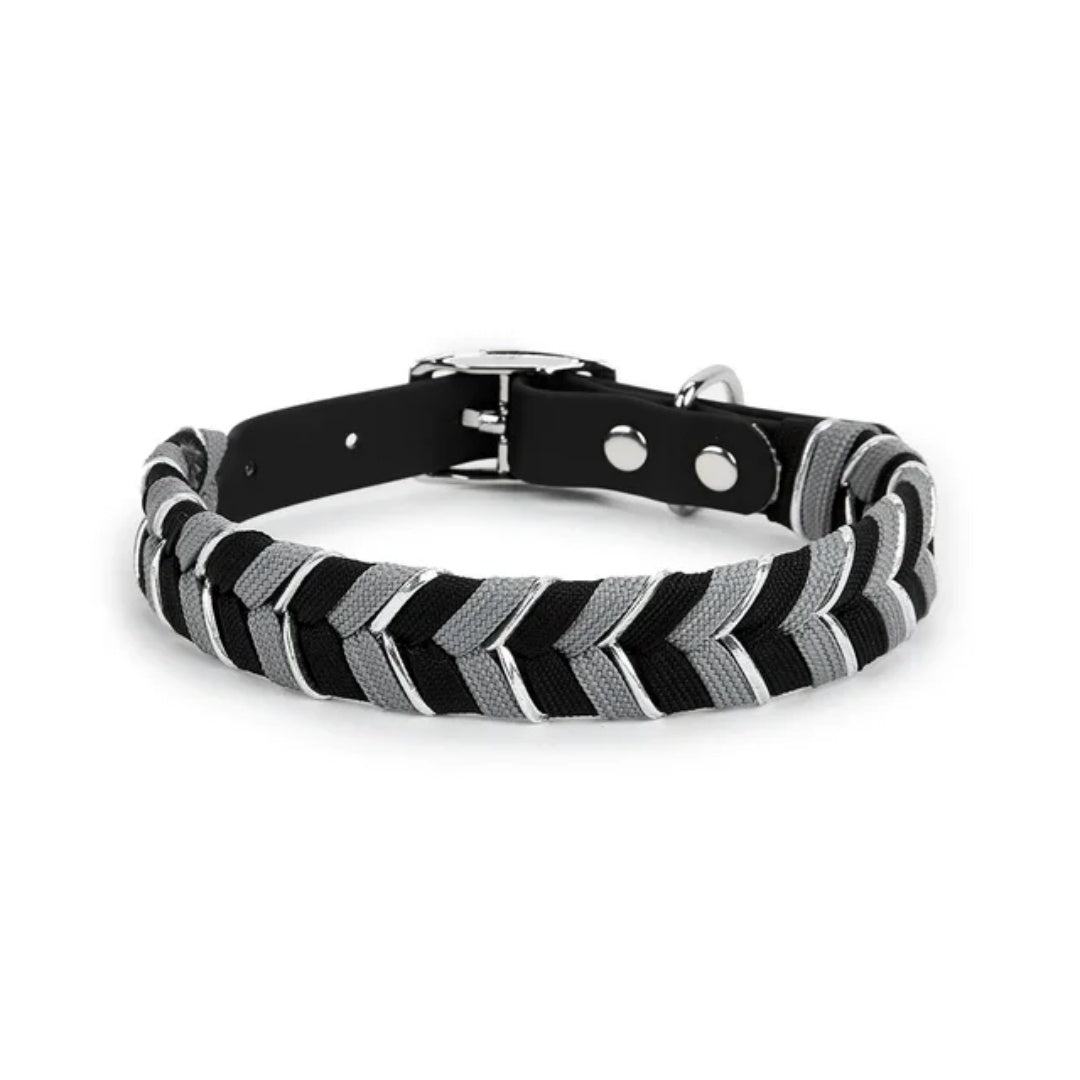 Pet Collar Metal Buckle Dog Collar Traction