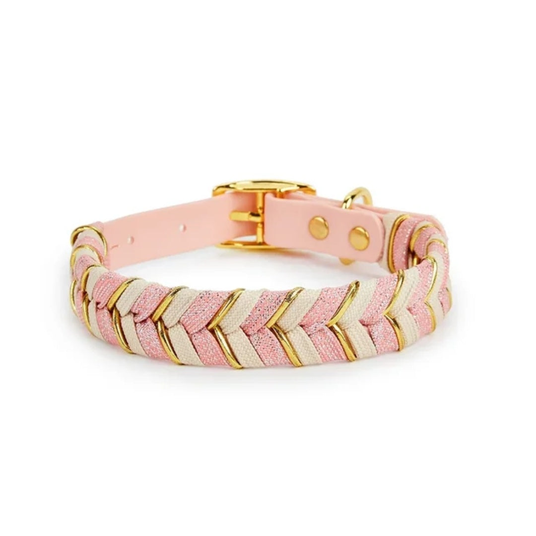 Pet Collar Metal Buckle Dog Collar Traction