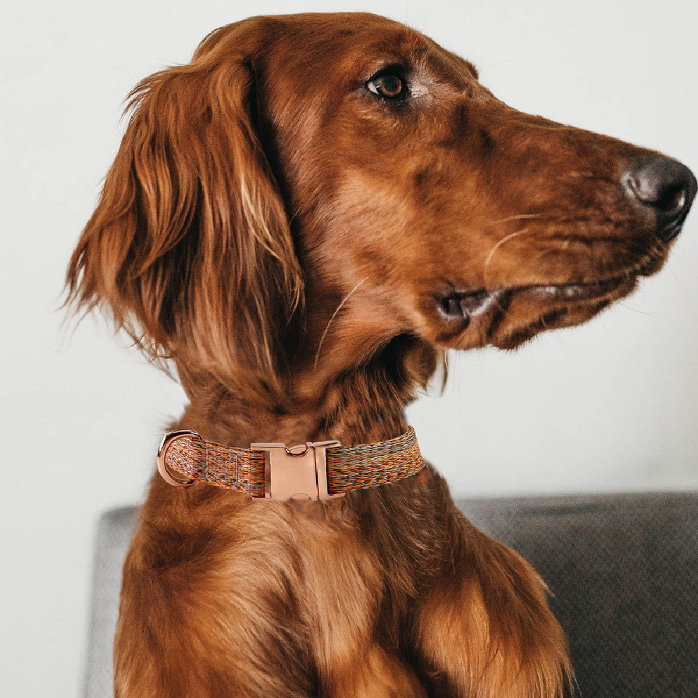 Faux Linen Metal Buckle Collar Dog Leash